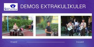 DEMOS EXTRAKUL